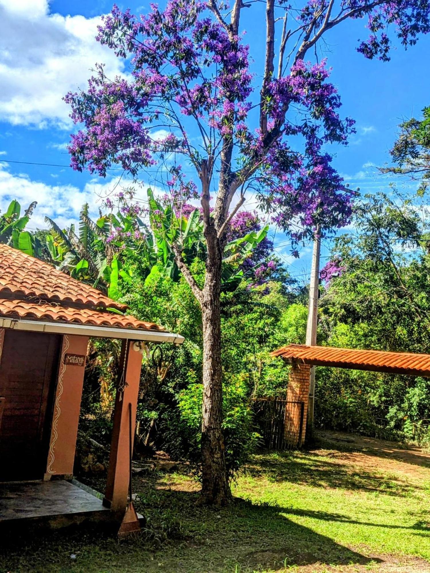 Casa Das Irmas - So Mulheres - Women Only ヴァレ・ド・カパオン エクステリア 写真